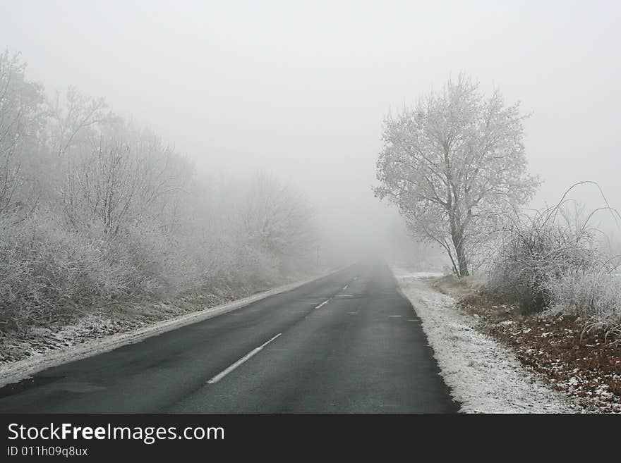 Foggy winter road with lonely tree