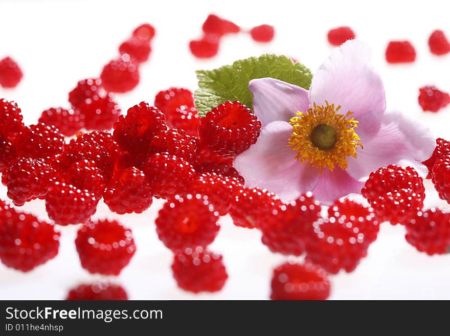 Raspberries and blossoms