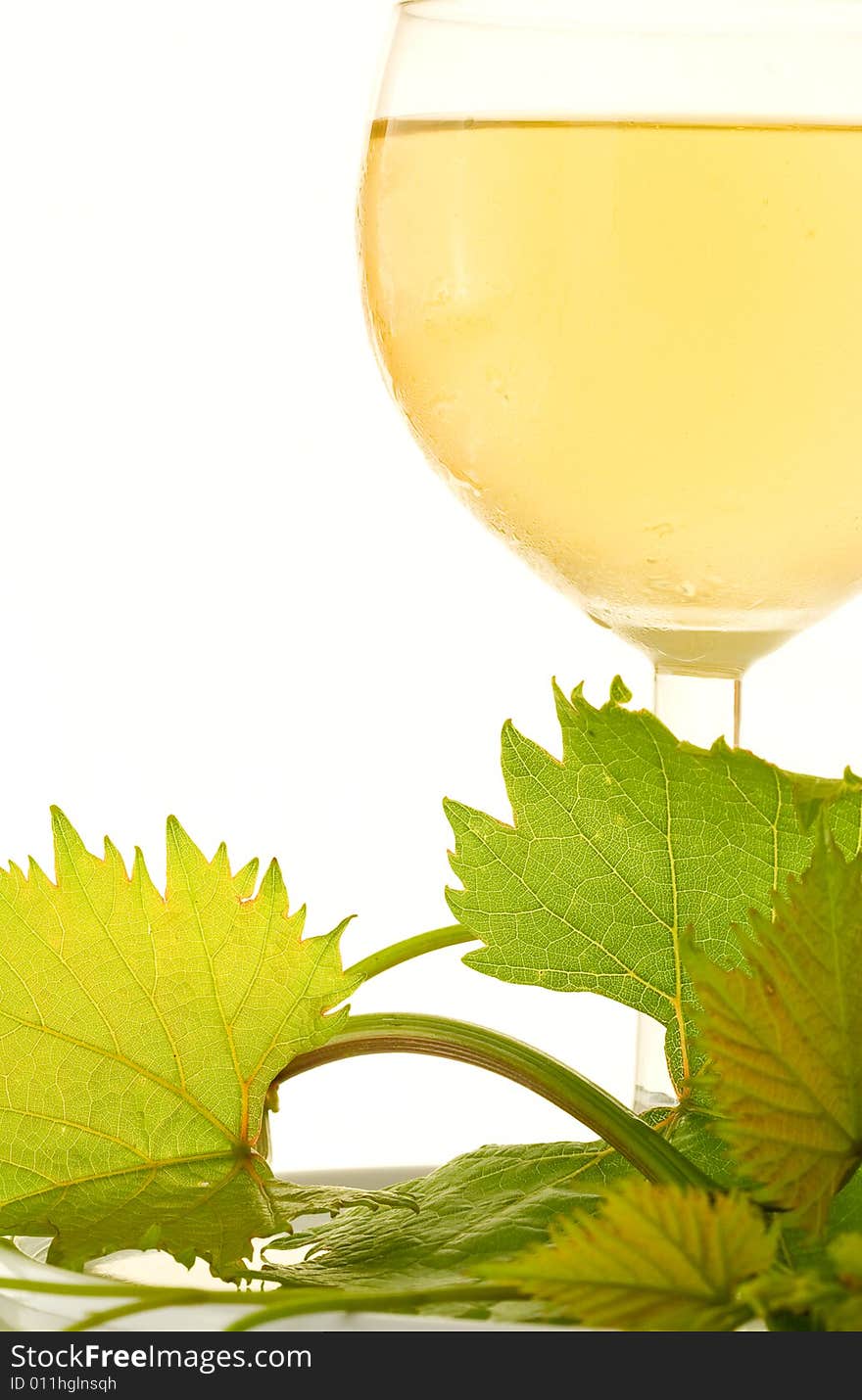 White glass wine on white background