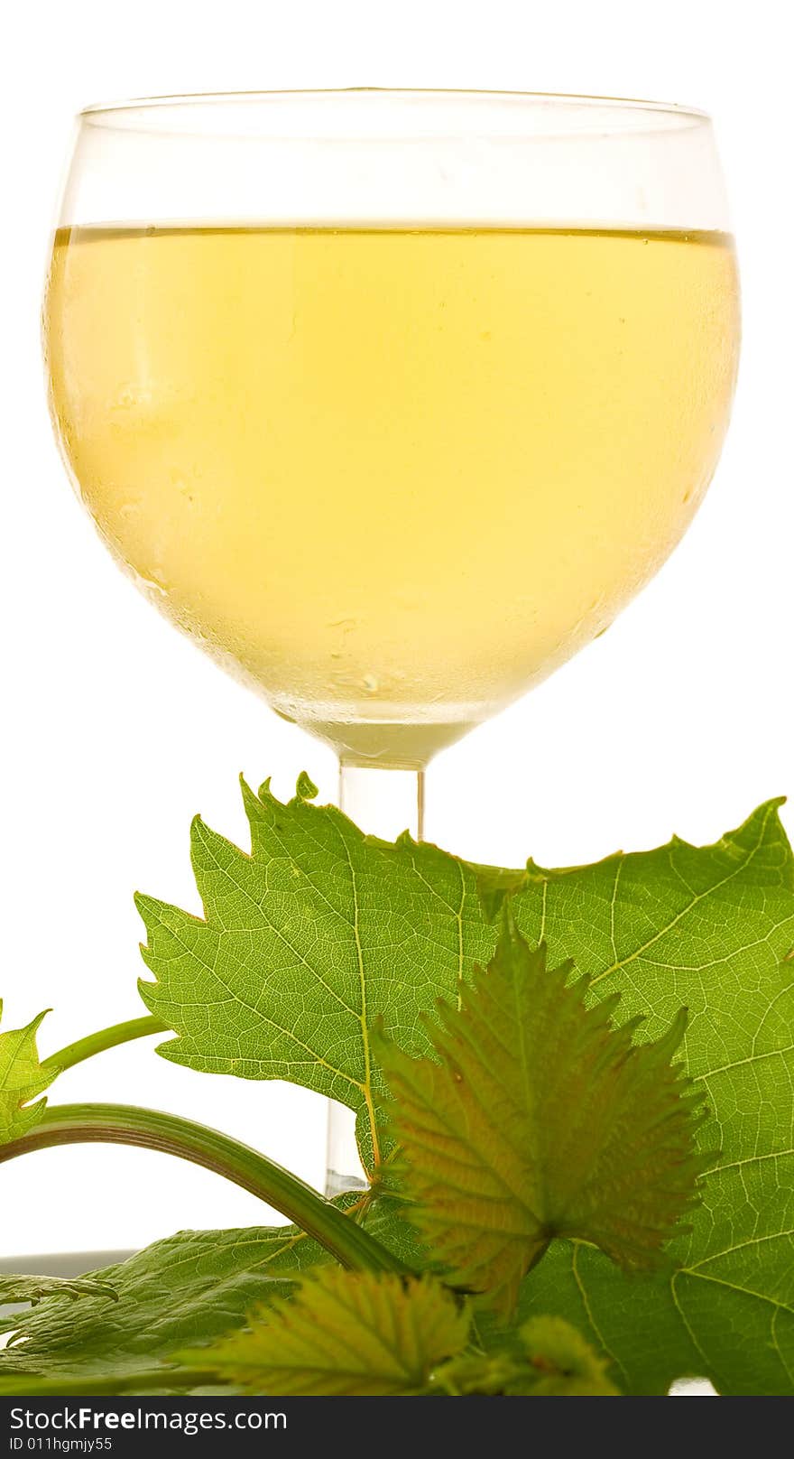 White glass wine on white background