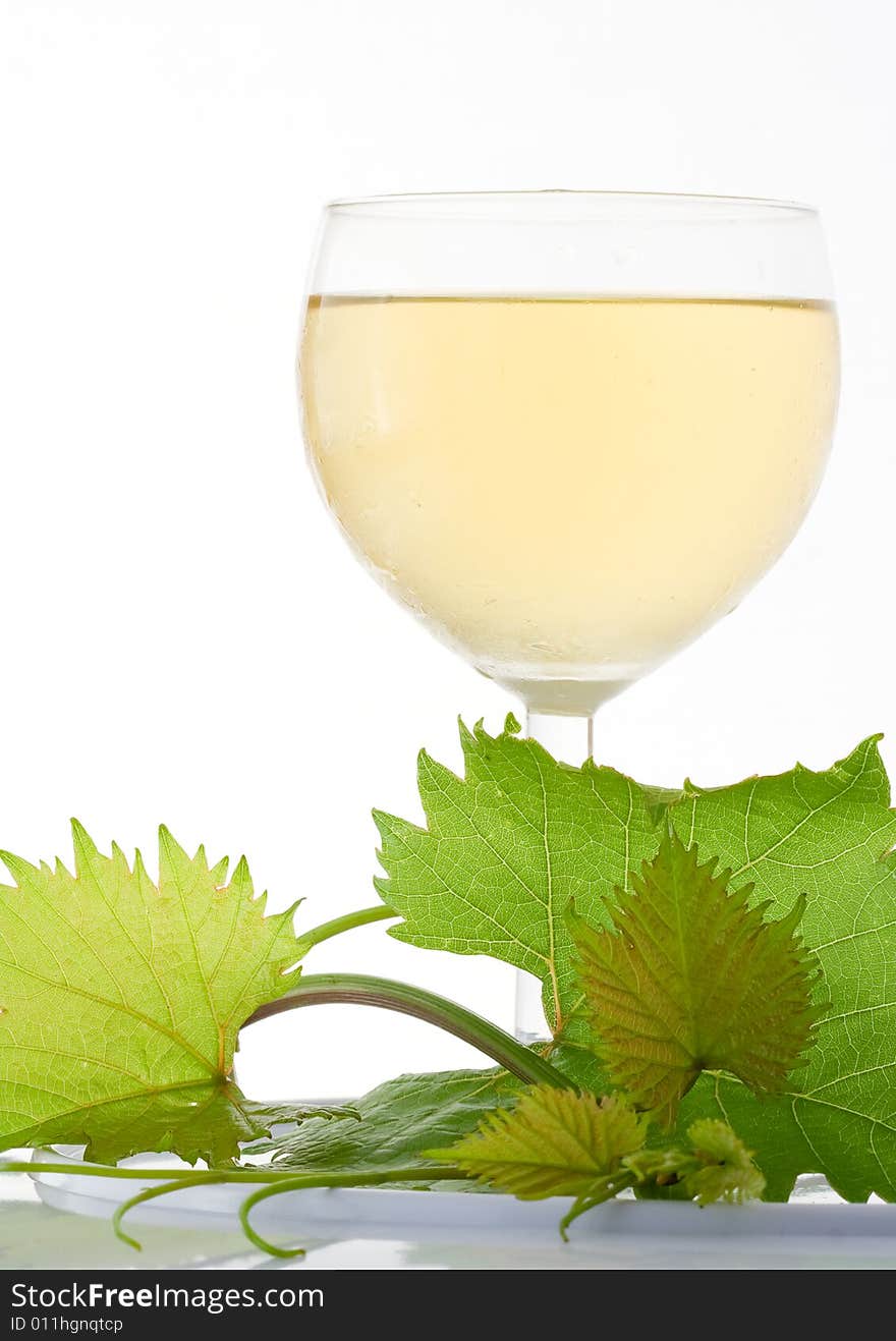 White glass wine on white background