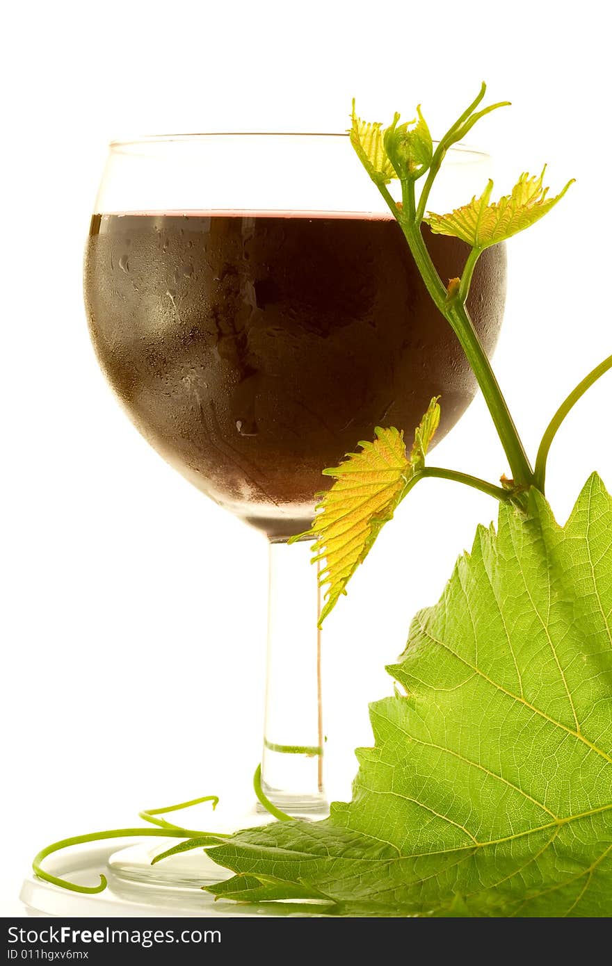 Red glass wine on white background