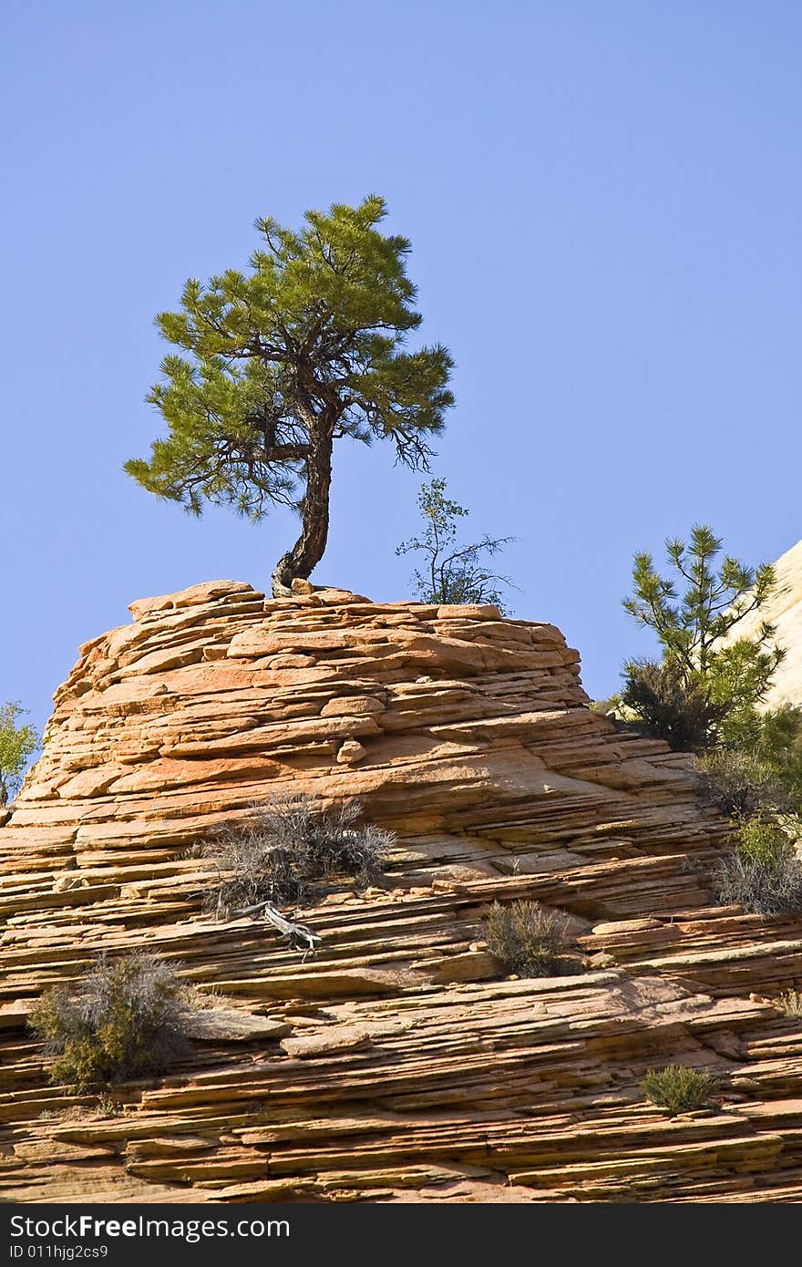 Zion National Park