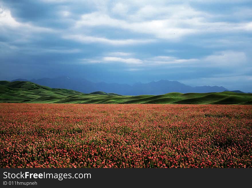 Nanshan mountain