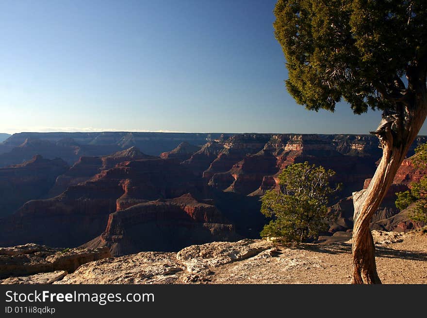 A view of the Grand Canyon from the south rim