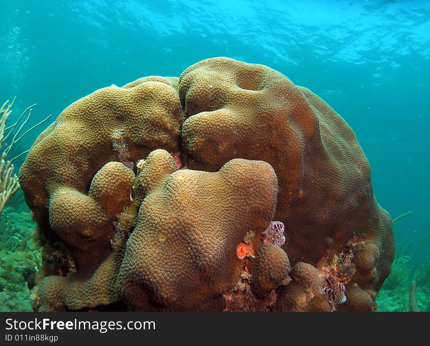 This image was taken off the beach in Lauderdale by the sea, Florida. A place right off Vista Park. This image was taken off the beach in Lauderdale by the sea, Florida. A place right off Vista Park.