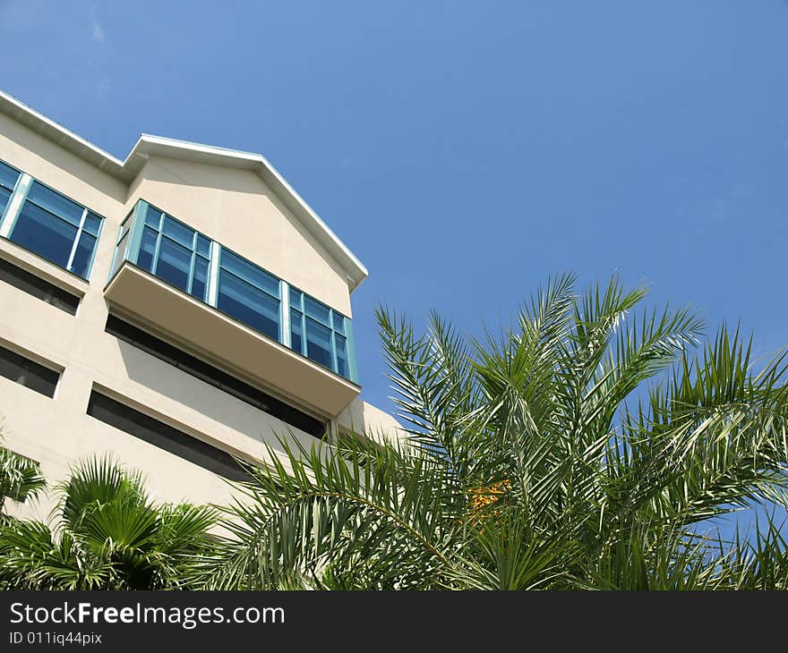 Beach Resort Side with Palm Fronds