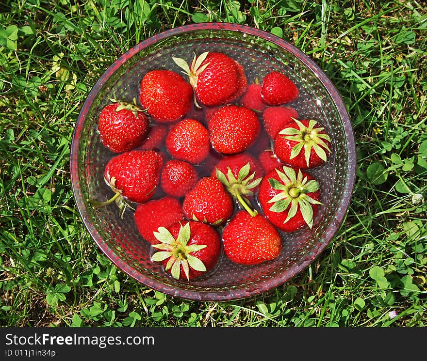 There is dish with strawberries in natural environment (edited in Photoshop). There is dish with strawberries in natural environment (edited in Photoshop)