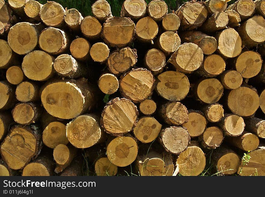 Stock Of Wood