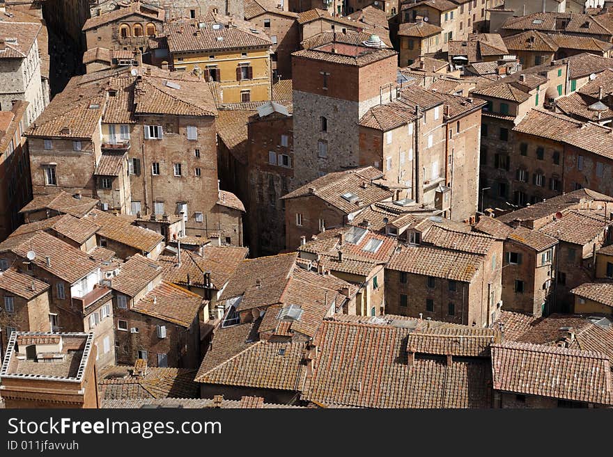 View Over Siena From The Tower Of Palazzo Pubblico