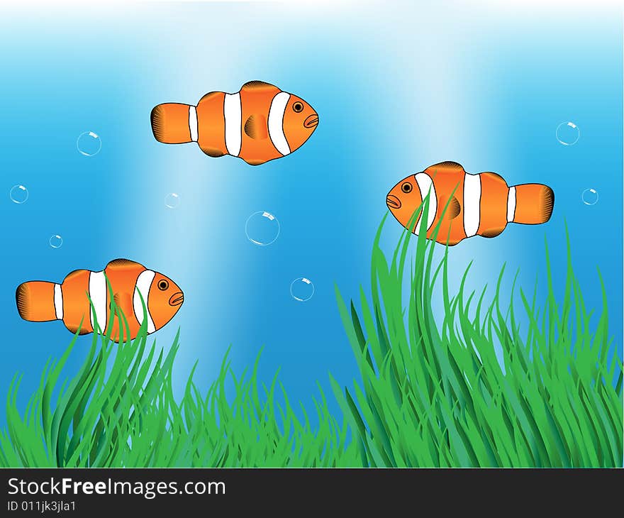 Clownfishes in the sea vector illustration.