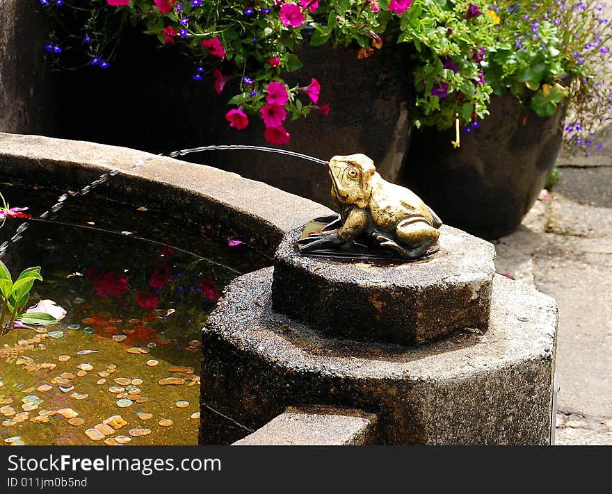 Ornamental frog water fountain in garden. Ornamental frog water fountain in garden