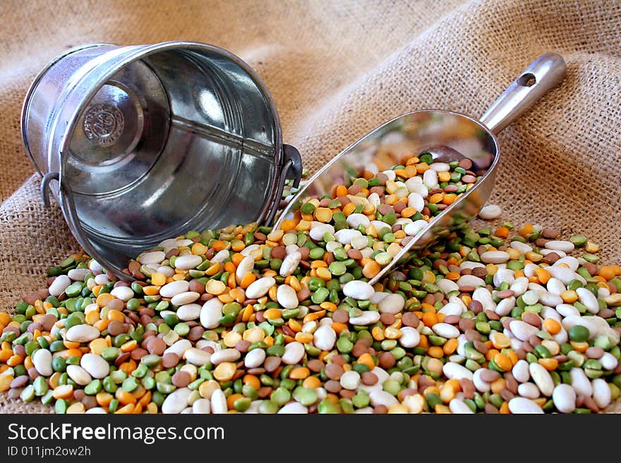 An assortment of dried beans being scooped up to be put in a bucket. An assortment of dried beans being scooped up to be put in a bucket.