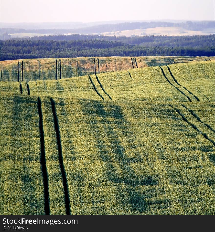 Summer landscape with green fields and hills