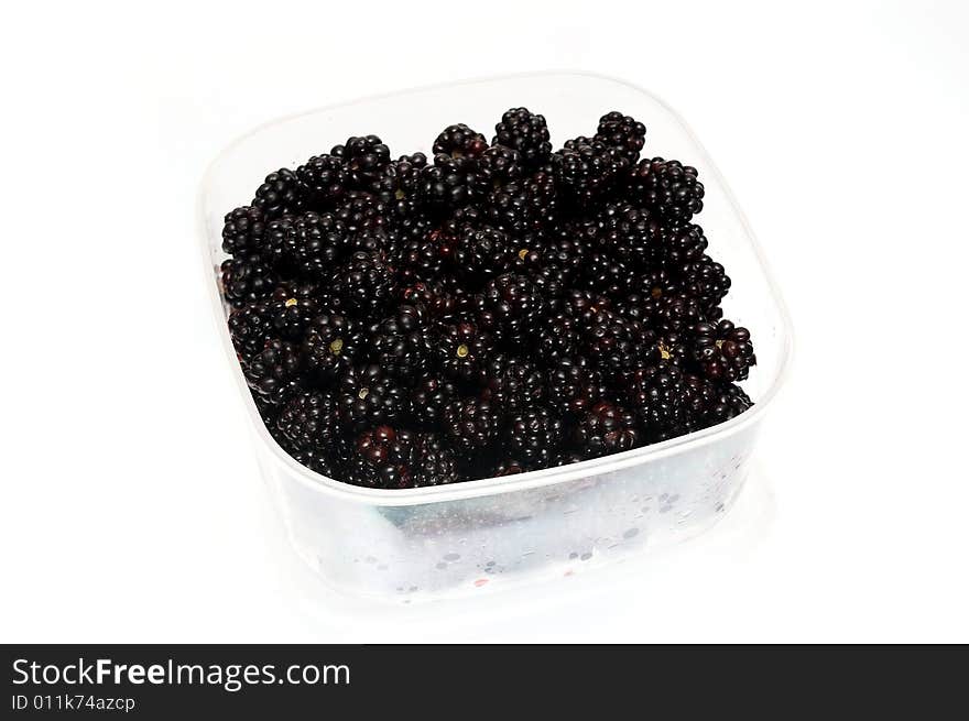 Wild blackberry in a plastik container