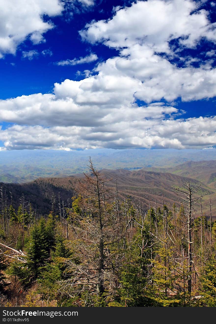 The Great Smoky Mountain National Park in the morning