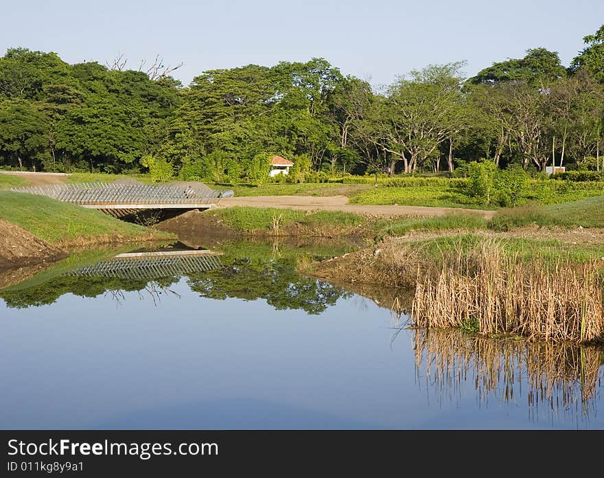 The shore of a lake with reflections in the water. The shore of a lake with reflections in the water