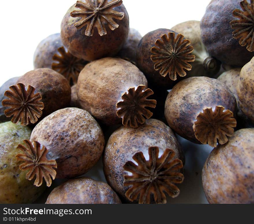 Still life with poppy heads