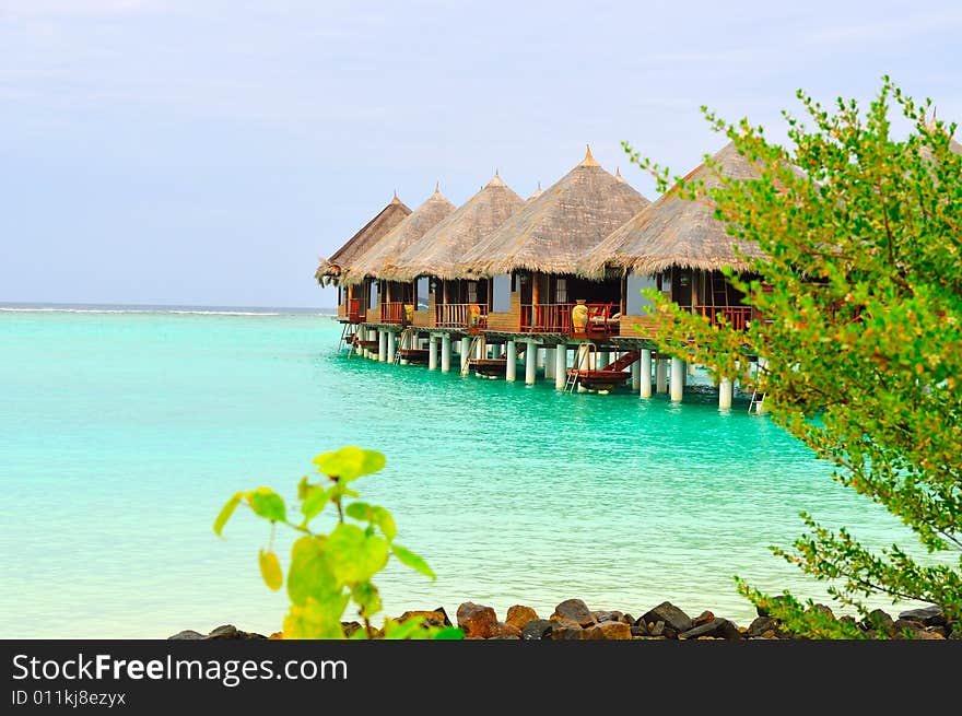 Island of Paradise. White sand beaches with coco-tree and crystal blue water. Maldives. Luxury holidays. Island of Paradise. White sand beaches with coco-tree and crystal blue water. Maldives. Luxury holidays.