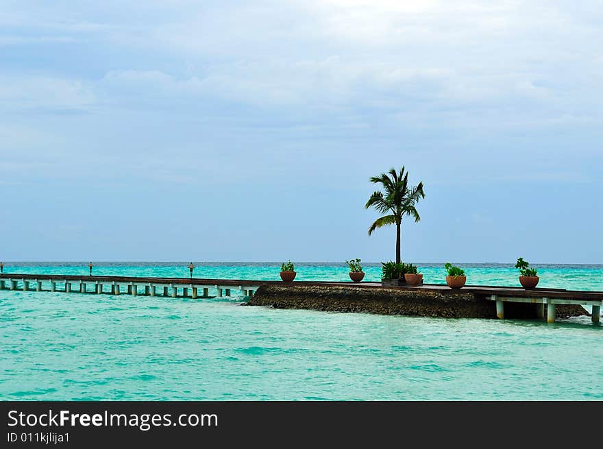 Island of Paradise. White sand beaches with coco-tree and crystal blue water. Maldives. Luxury holidays. Island of Paradise. White sand beaches with coco-tree and crystal blue water. Maldives. Luxury holidays.