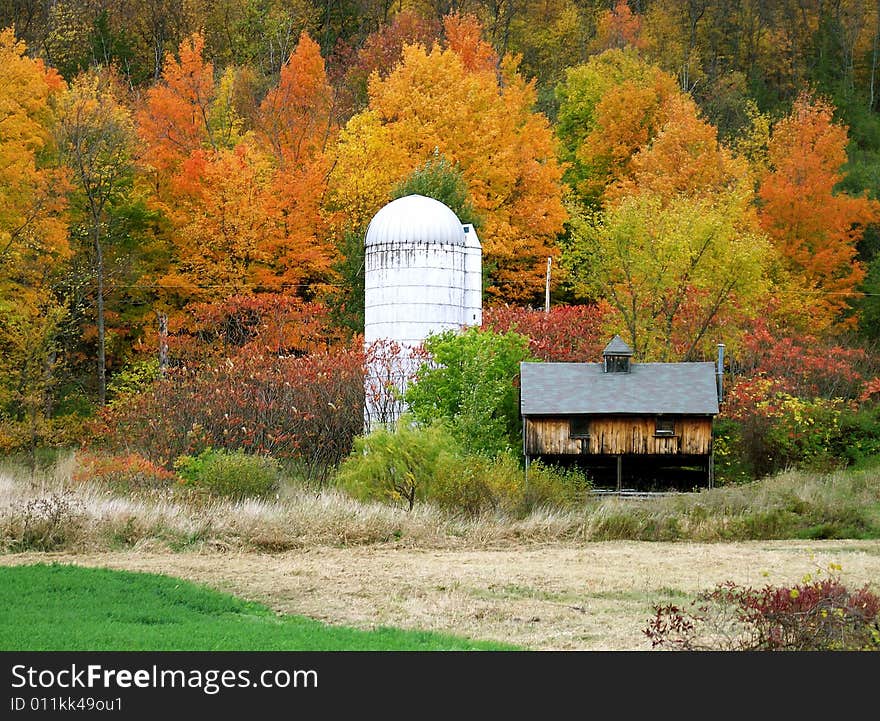 A small little place sits next to a tall silo nestled in
the fall colors of the surrounding trees. A small little place sits next to a tall silo nestled in
the fall colors of the surrounding trees.