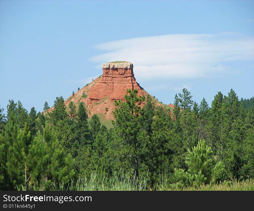 Taken In The Black Hills Of South Dakota. Taken In The Black Hills Of South Dakota