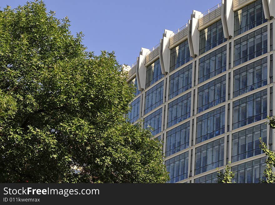 Building surface, modern building and tree