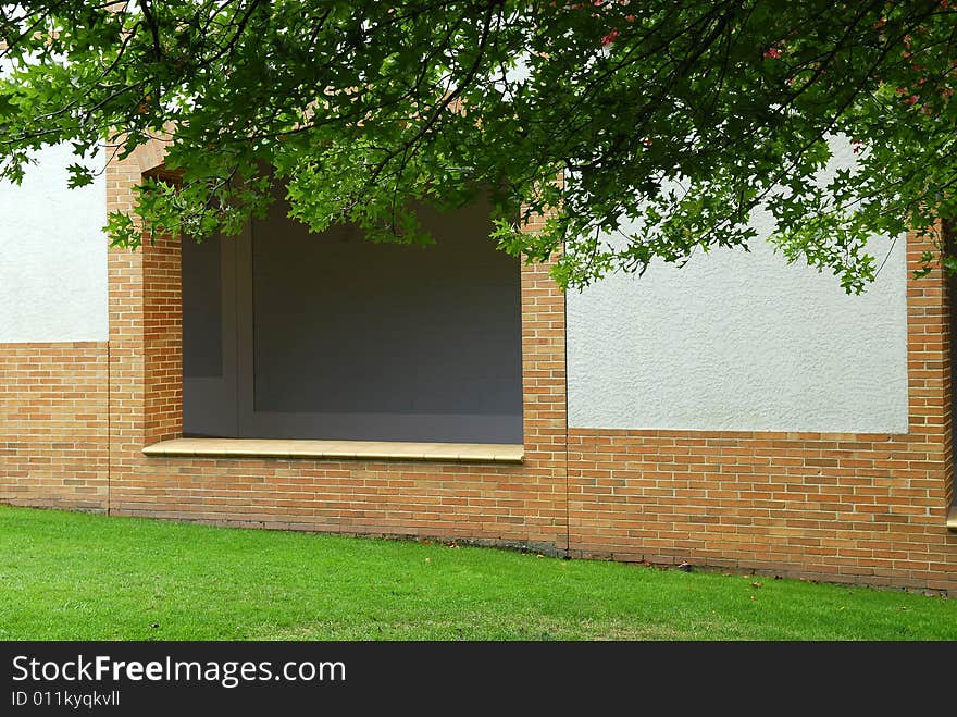 Vineyard Garden with White Wall and Tree