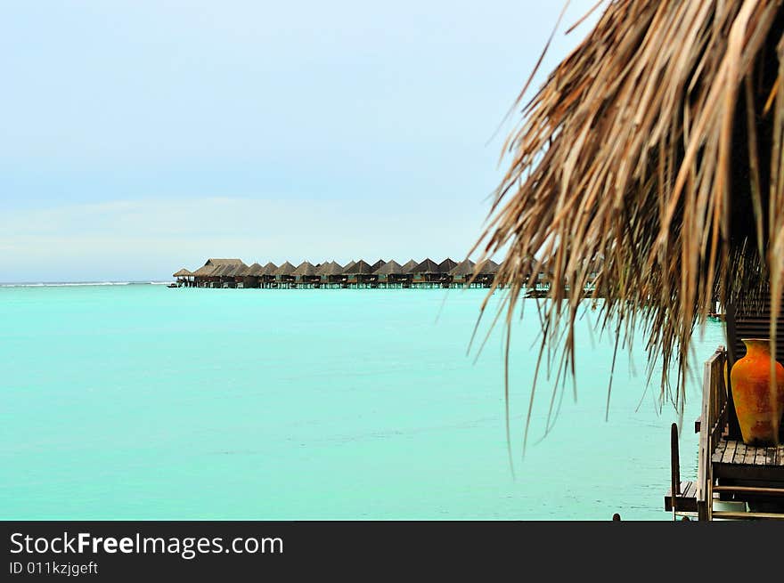 Island of Paradise. White sand beaches with coco-tree and crystal blue water. Maldives. Luxury holidays. Island of Paradise. White sand beaches with coco-tree and crystal blue water. Maldives. Luxury holidays.