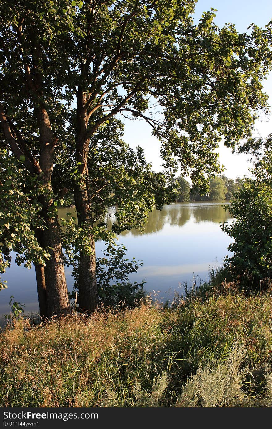 The shore of Lake hot summer afternoon.