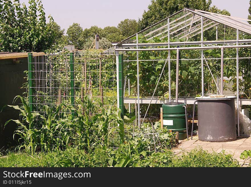 An allotment garden