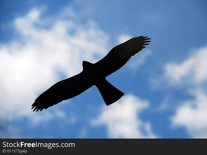 Eagle on sound screen