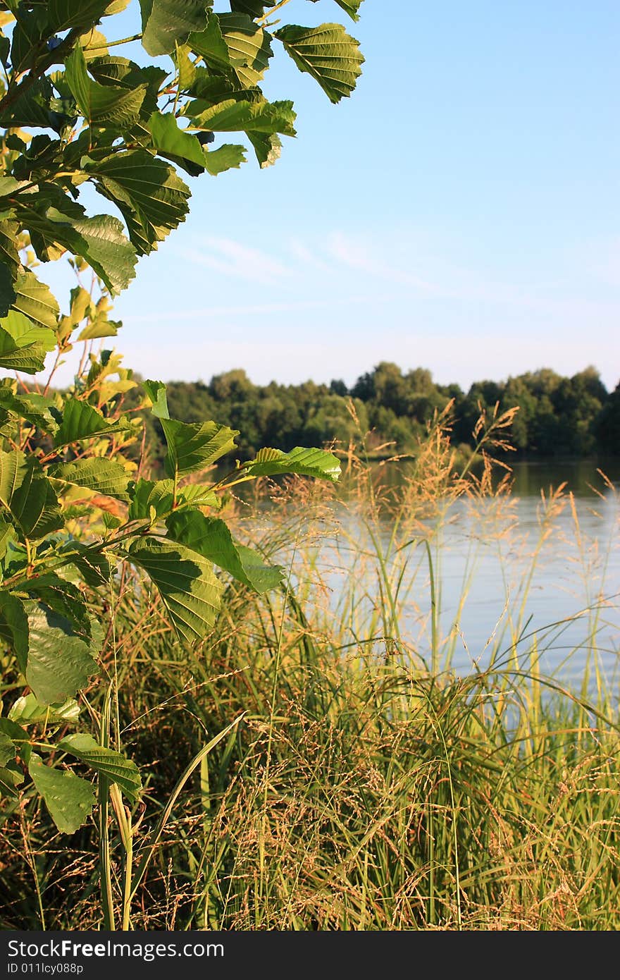 The shore of Lake hot summer afternoon.