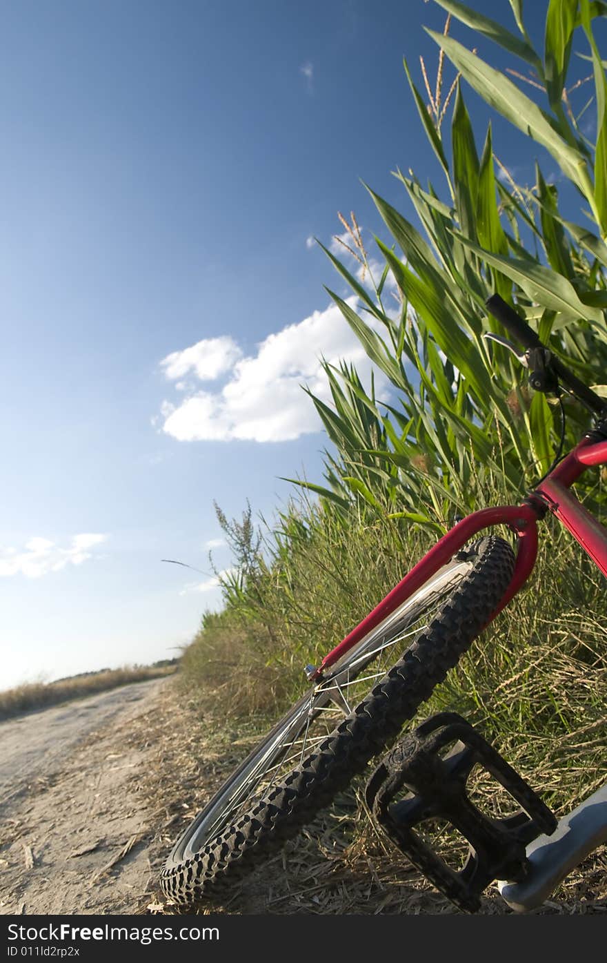 Cyckling in the countryside with blue sky. Cyckling in the countryside with blue sky