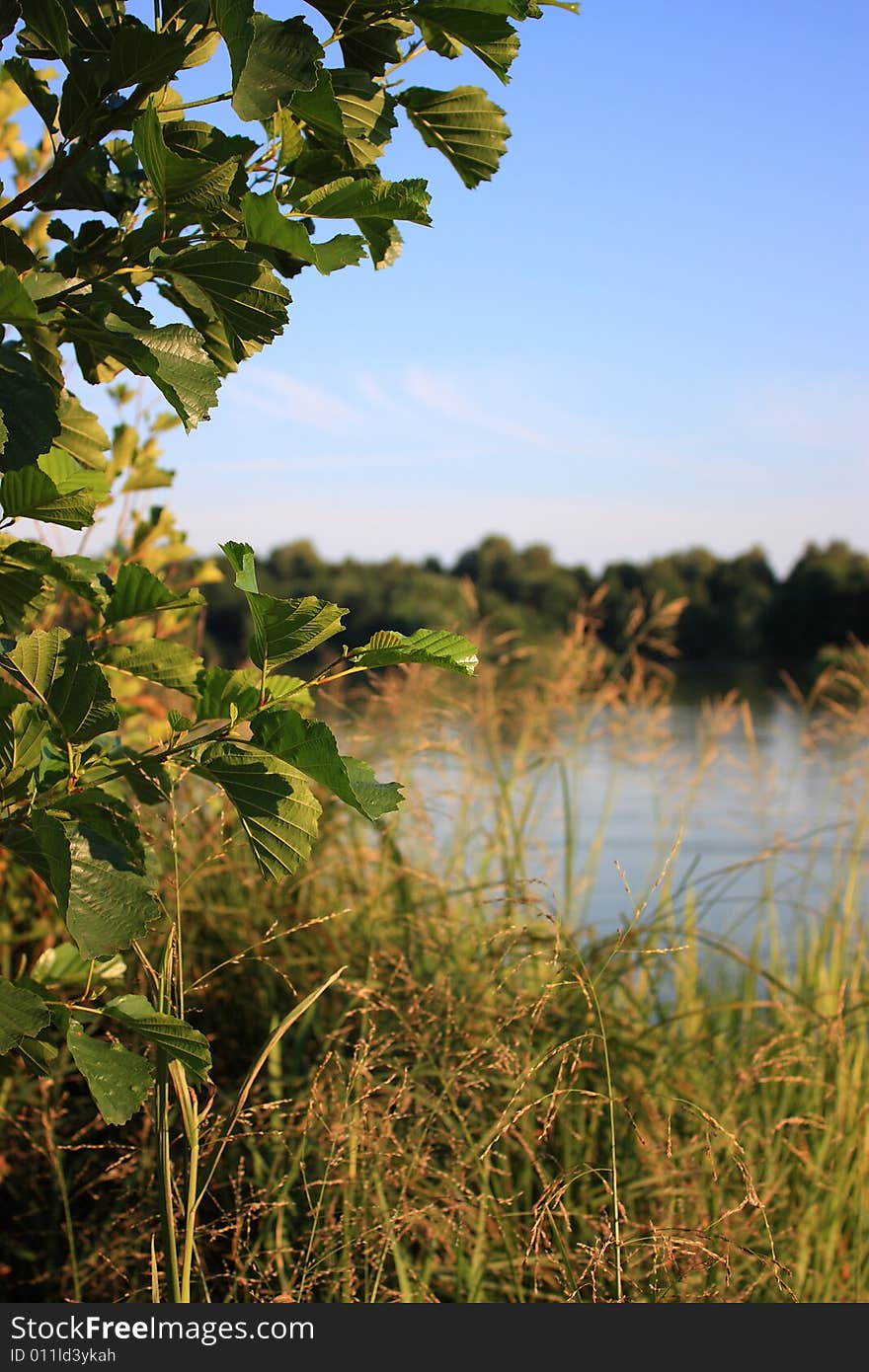 The shore of Lake hot summer afternoon.