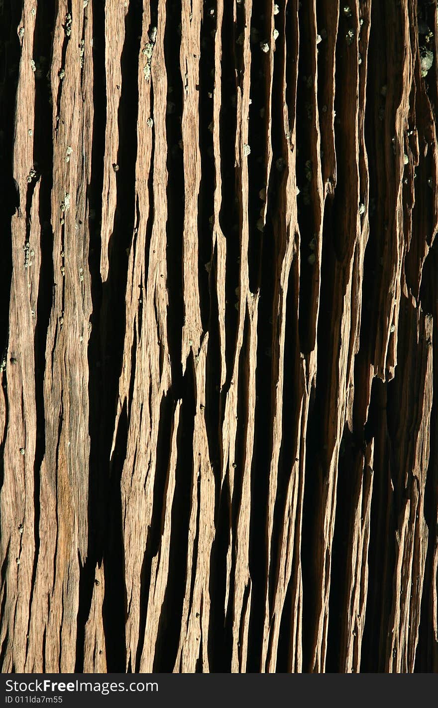 Wood texture