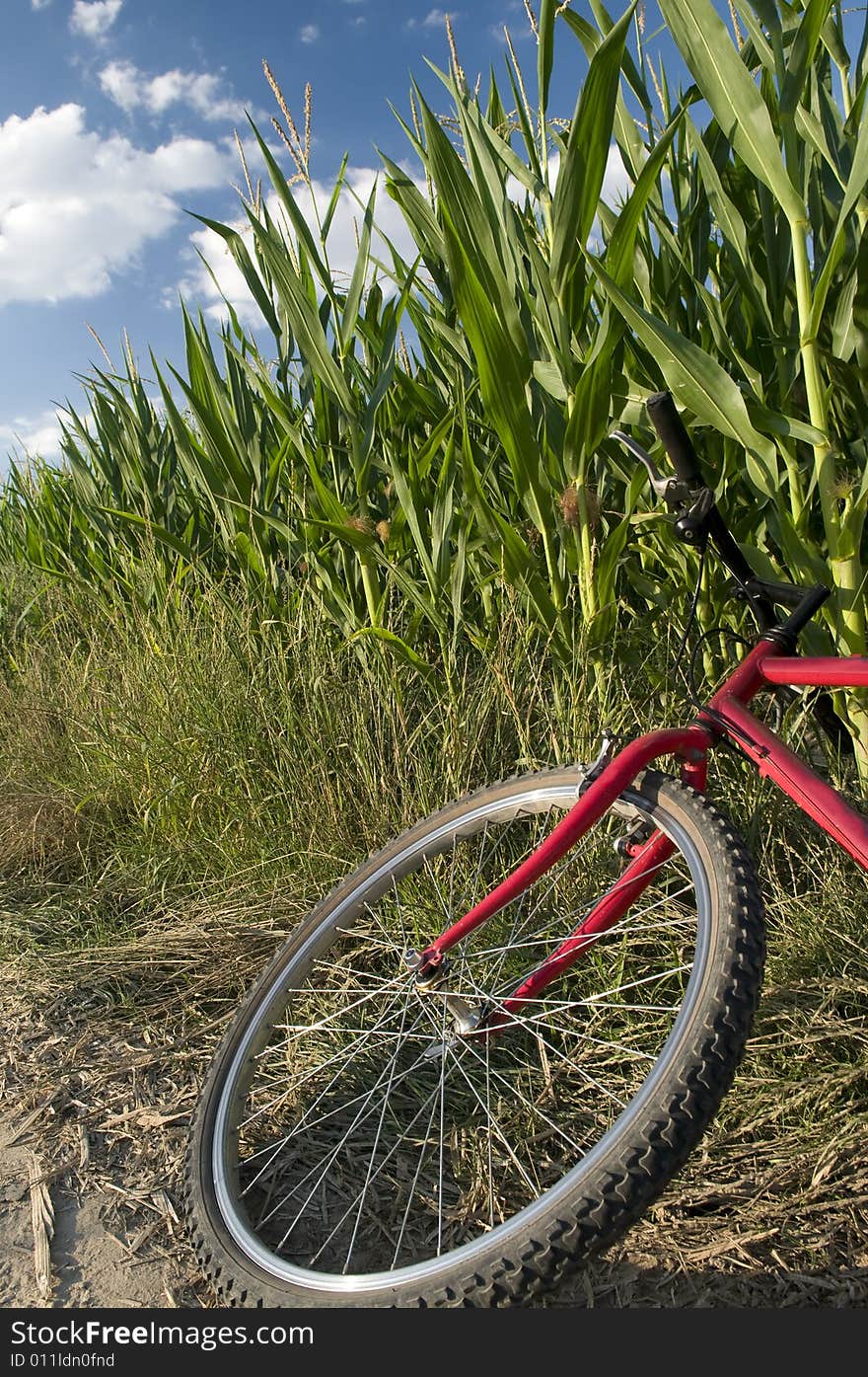 Cyckling in the country side. Cyckling in the country side