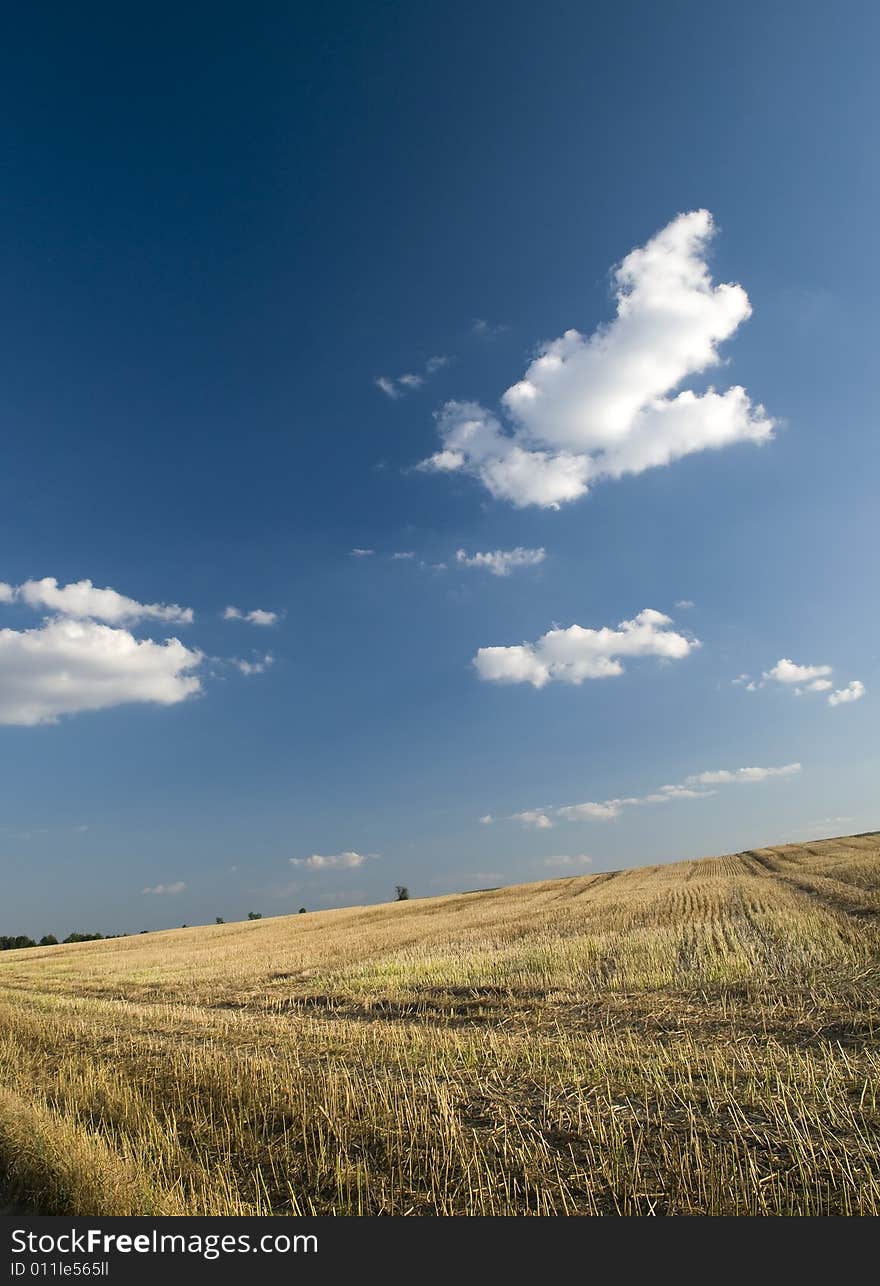 Fields with blue sky and clouds