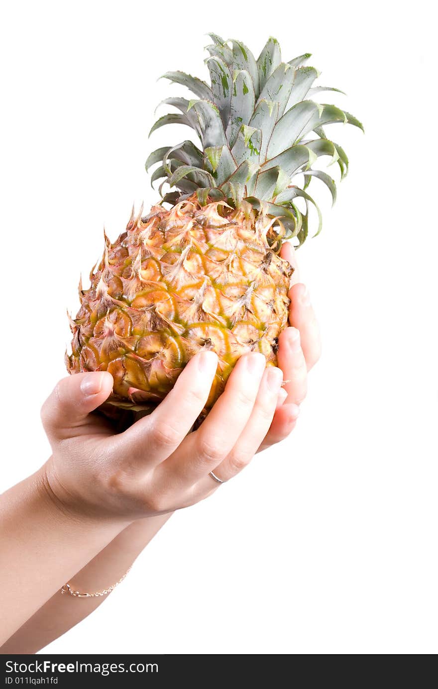 Two female hands hold a yellow ripe fresh pineapple in isolated white background