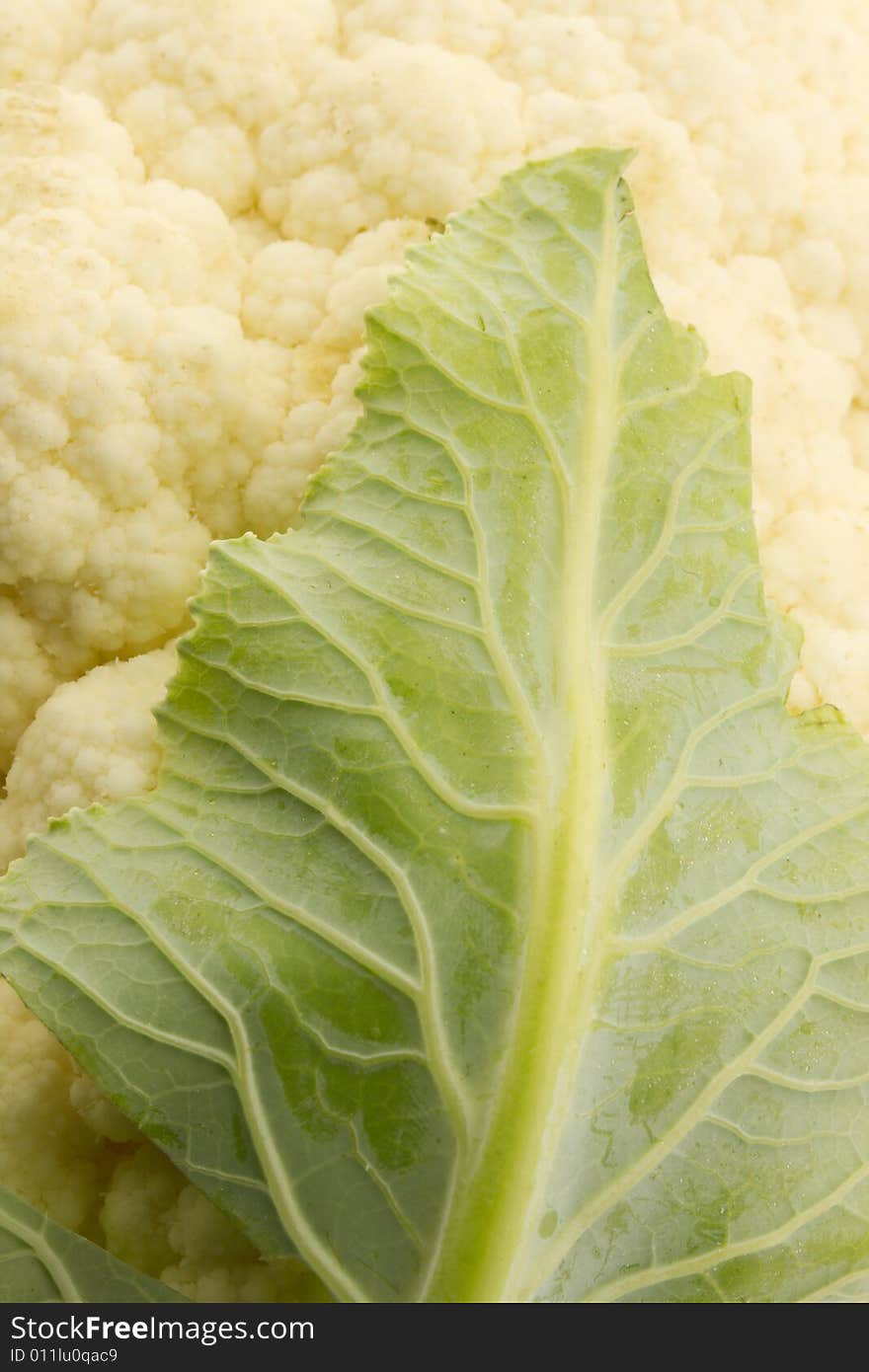 Cauliflower with a leaf, texture