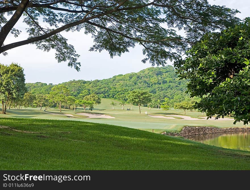 Jungle Golf Course from Trees