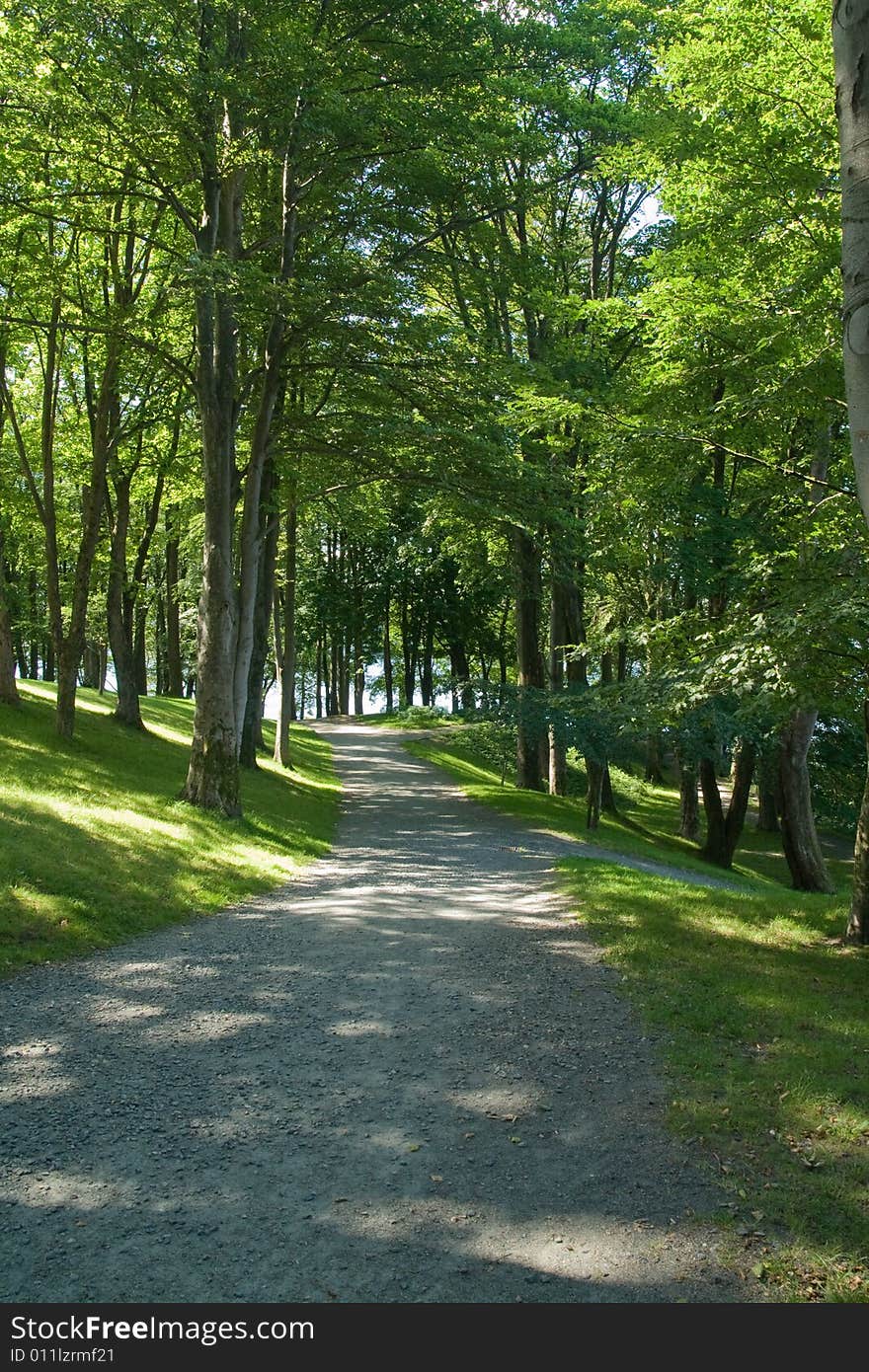 Path in the park