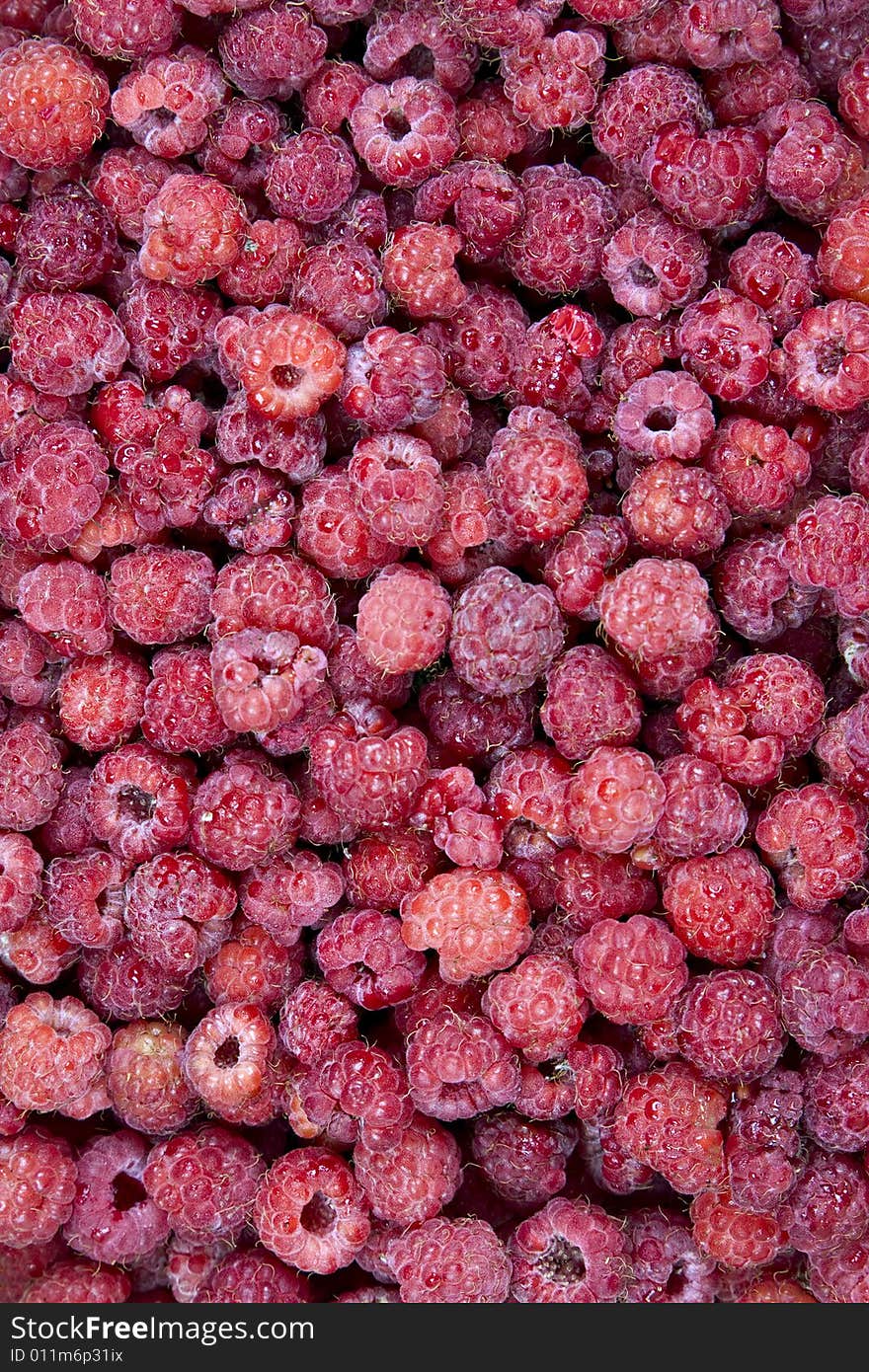 Lots of hand picked wild rasberries