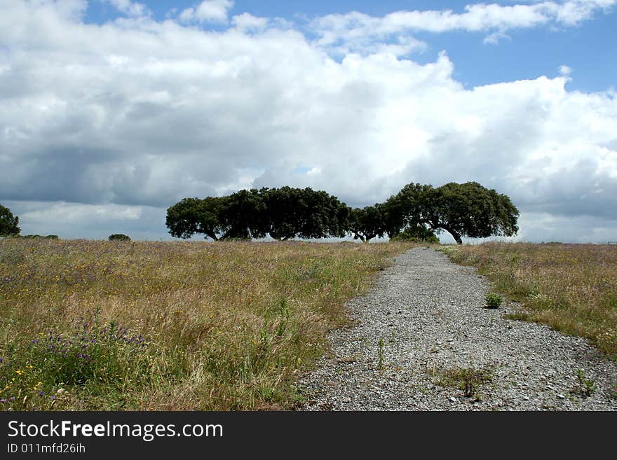 Typical landscape in alentejo, portugal