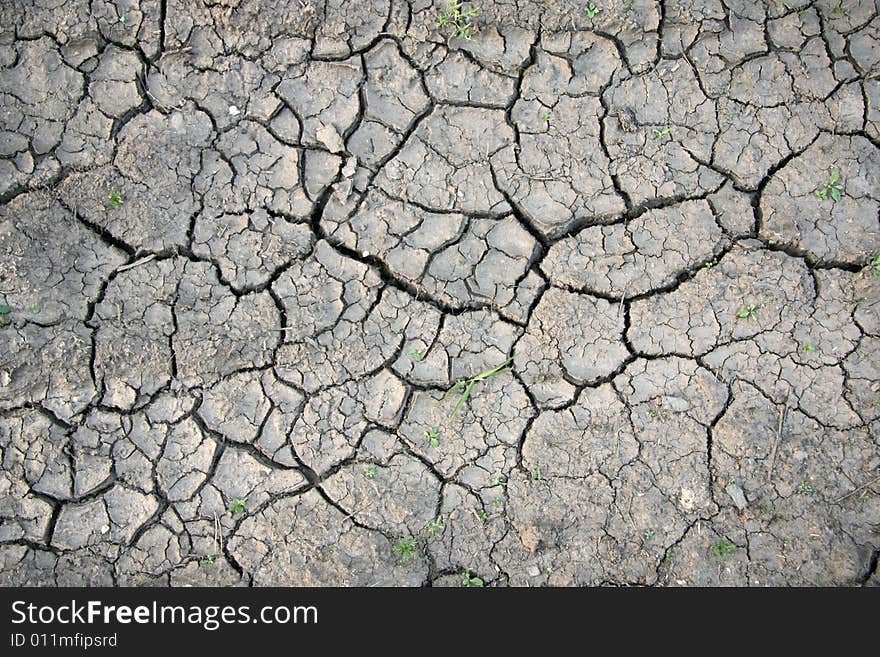 Dry ground with cracks and grass