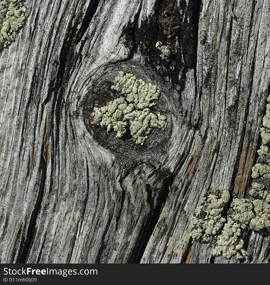 Texture of old wall. Village