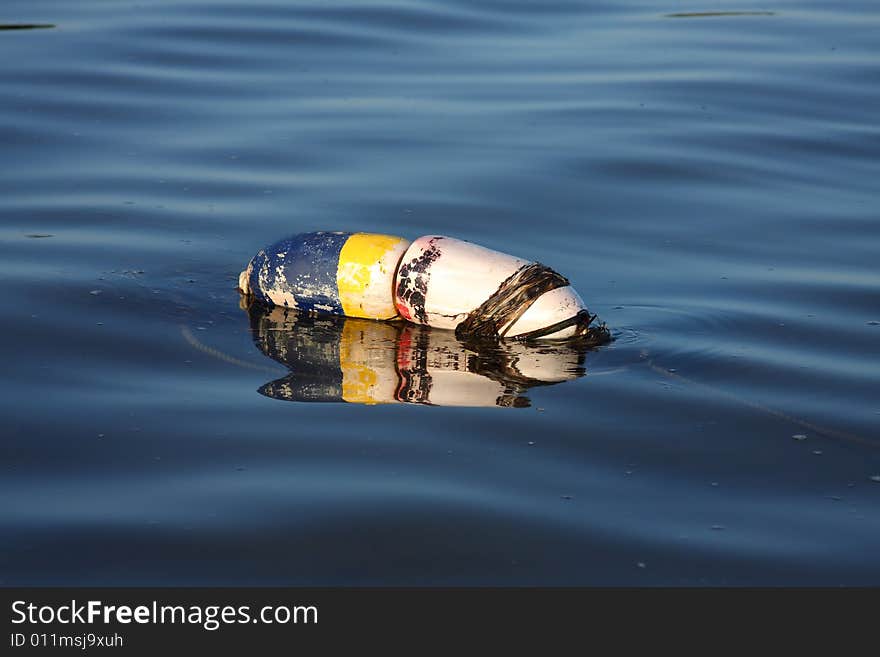 Crab or lobster buoy floating.