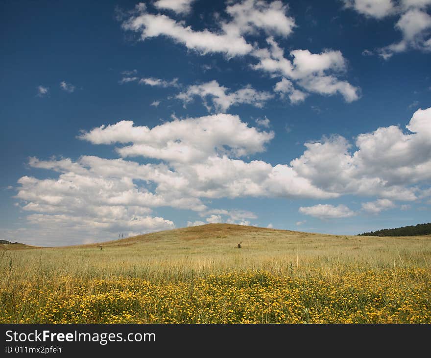 Steppe Field