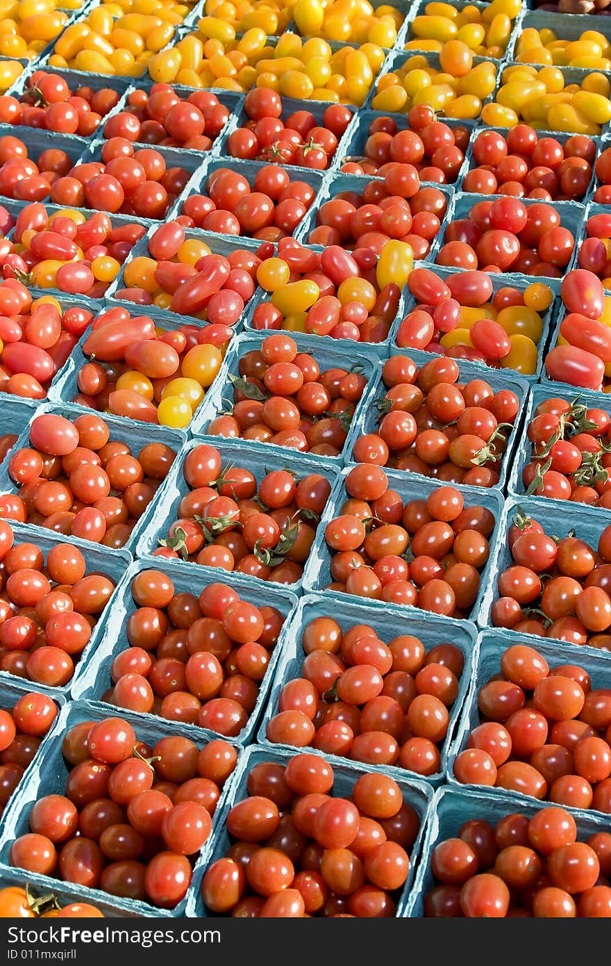 Tomatoes - Vertical