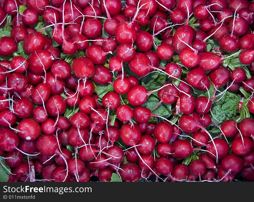 Photo of radishes. Horizontally framed photo. Photo of radishes. Horizontally framed photo.